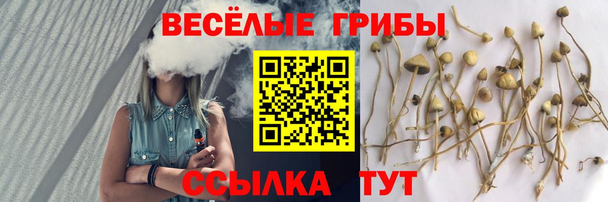 Галлюциногенные грибы прущие грибы Петрозаводск